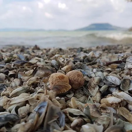 Vizparti Nyaralo Feriehus Fonyód