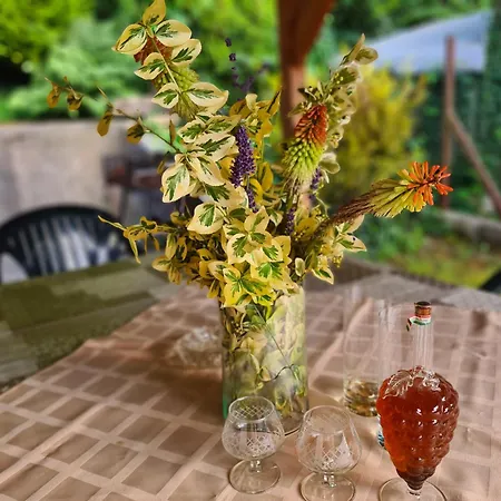 Vakantiehuis Vizparti Nyaralo